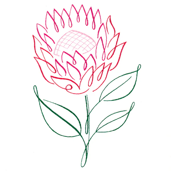 Tropical Calligraphy in Bloom - Protea - Image 2