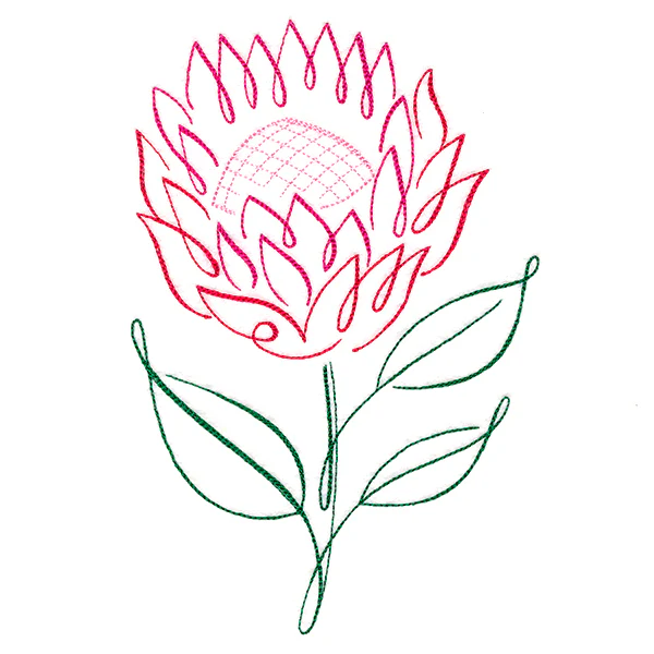 Tropical Calligraphy in Bloom - Protea - Image 3