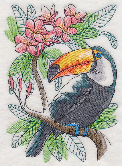 Tropical Toucan Sketch - Image 2