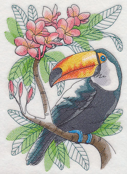 Tropical Toucan Sketch - Image 4