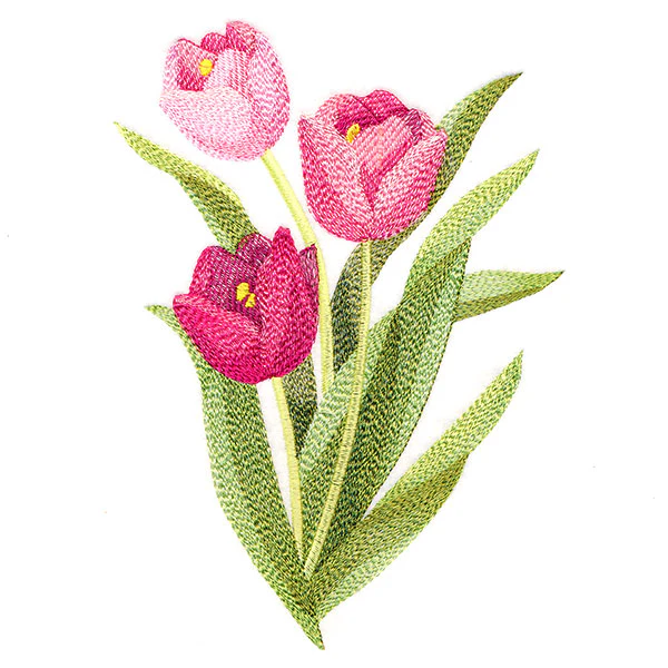 Truly Tulip Blooms - Image 4