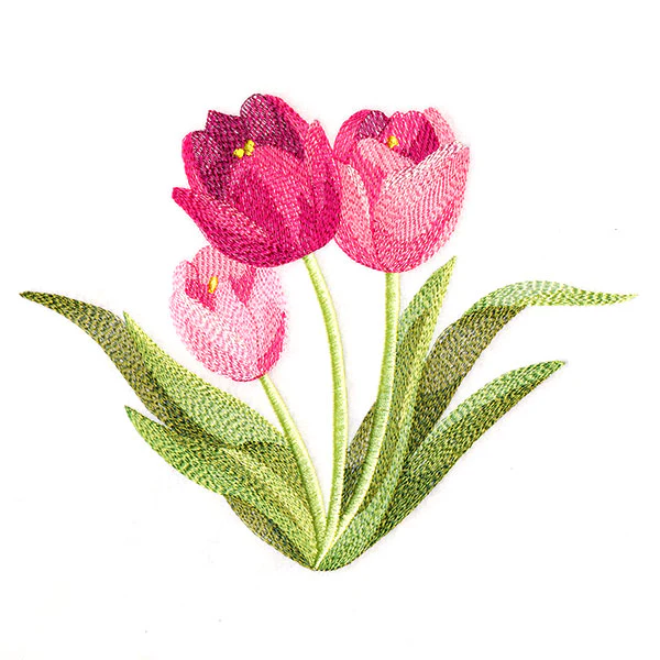 Truly Tulip Bunch - Image 4