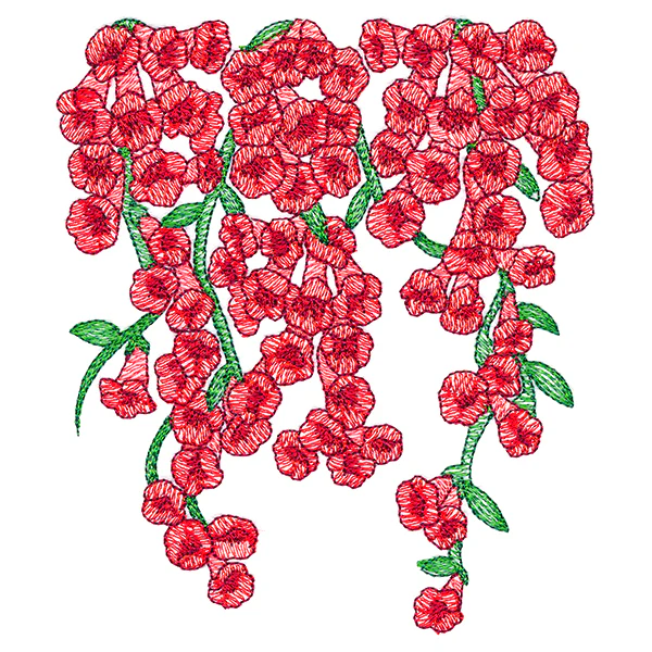 Trumpet Vine Flowers Feature - Image 3