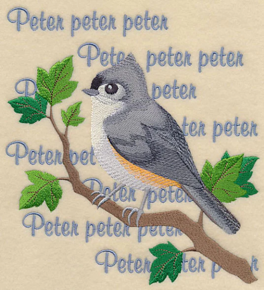 Tufted Titmouse Song - Image 6