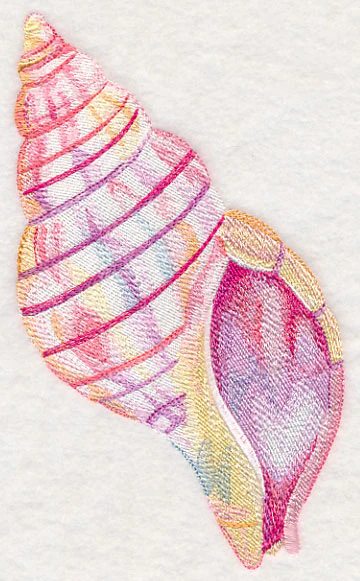 Tulip Shell in Watercolor - Image 3