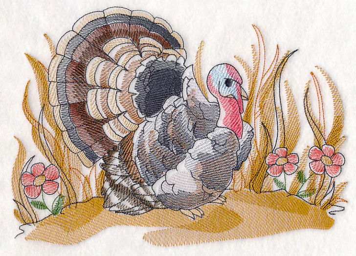 Turkey Sketch - Image 4