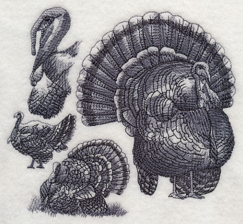 Turkey Sketch - Image 3
