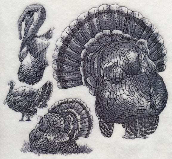 Turkey Sketch - Image 5