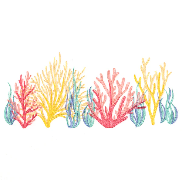 Under the Sea Coral Border - Image 5