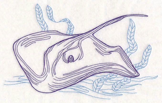 Under the Sea - Stingray - Image 2