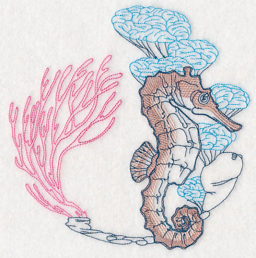 Undersea Seahorse Etching - Image 2