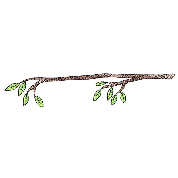 Very Tweet Family - Branch - Image 5