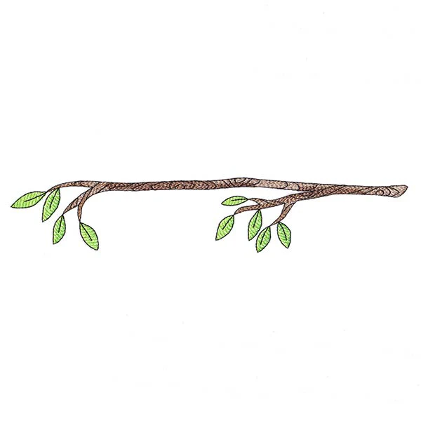 Very Tweet Family - Branch - Image 7