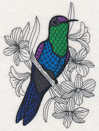 Violet Crowned Woodnymph with Orchids (Blackwork) - Image 3