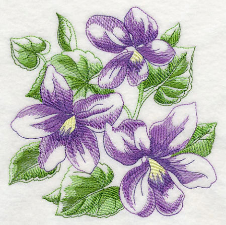 Violet Sketch - Image 3