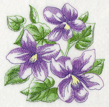 Violet Sketch - Image 4