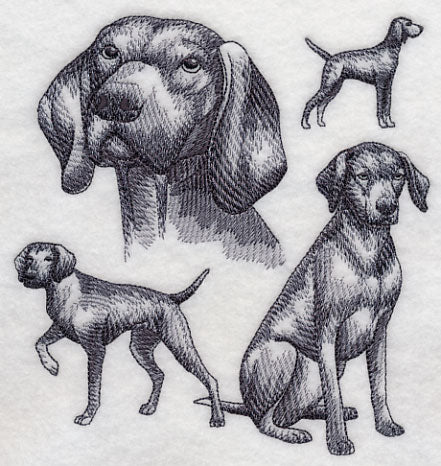 Vizsla Sketch - Image 3