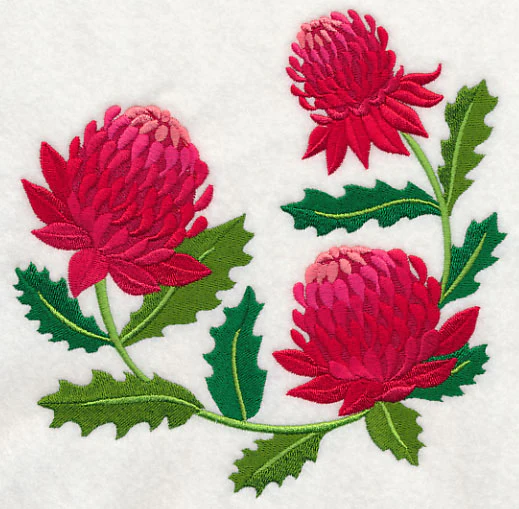 Waratah - Image 2