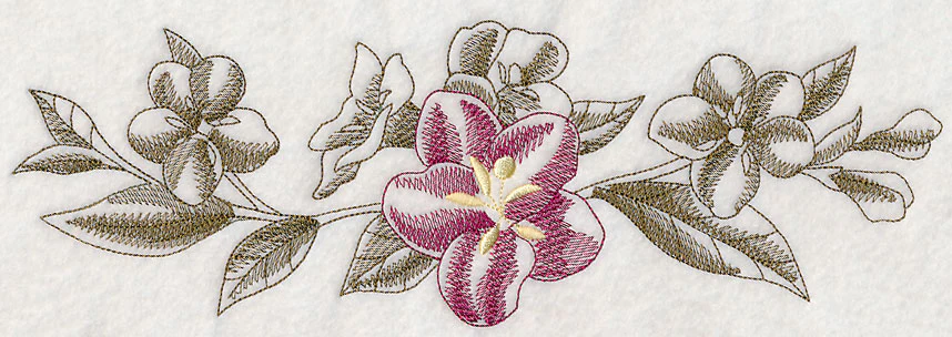 Weigela Border (Toile)