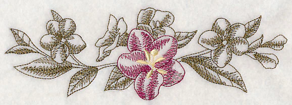 Weigela Border (Toile) - Image 3
