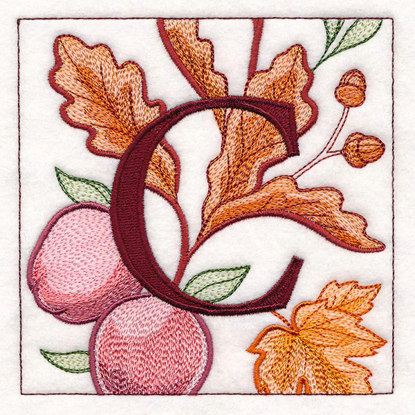 Welcome Fall Square - C - Image 10