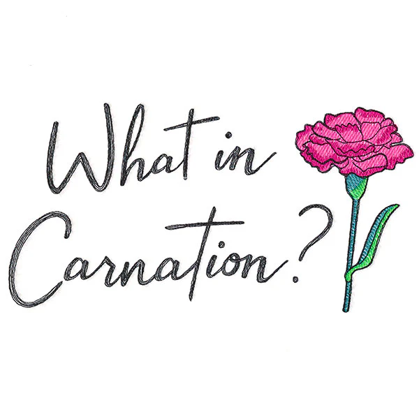 What in Carnation? - Image 2