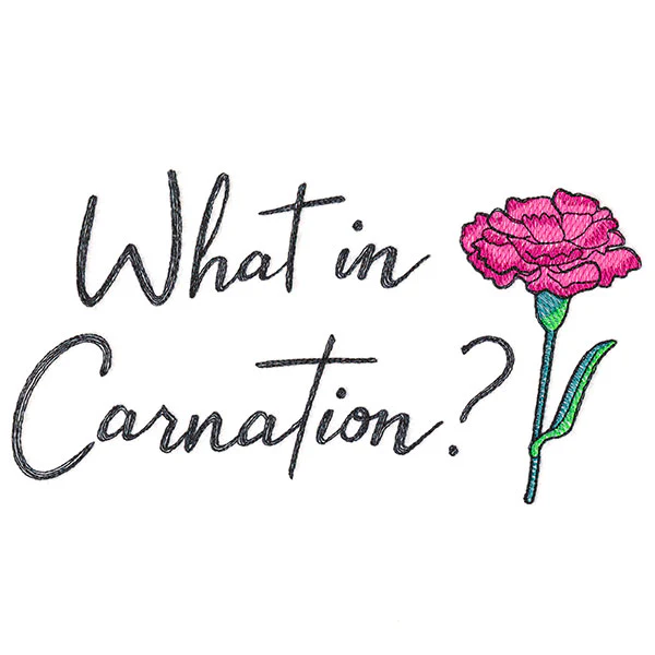 What in Carnation? - Image 3