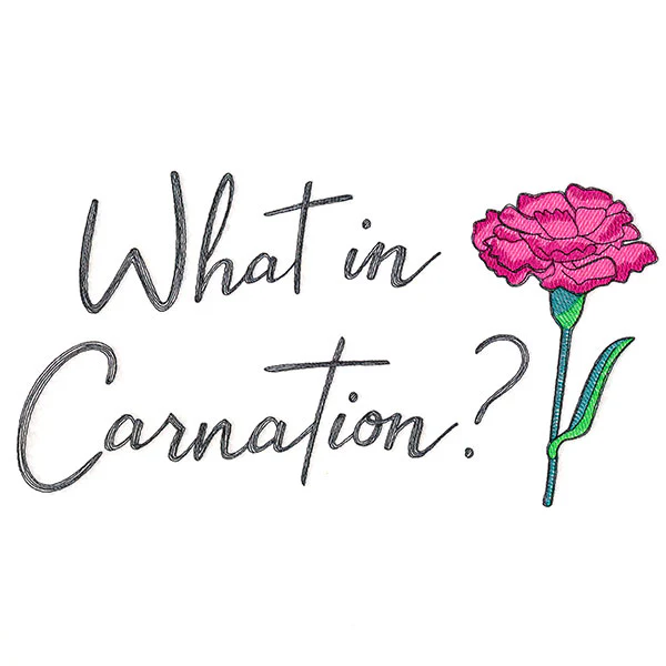 What in Carnation? - Image 6