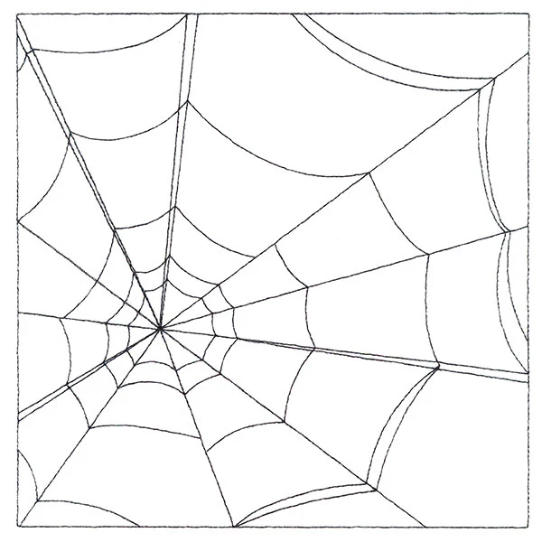 What Tangled Webs (Double Run) - Image 6