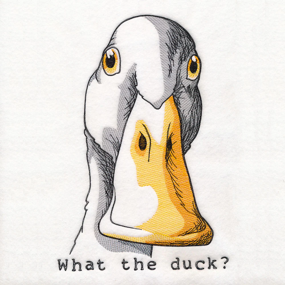 What the Duck