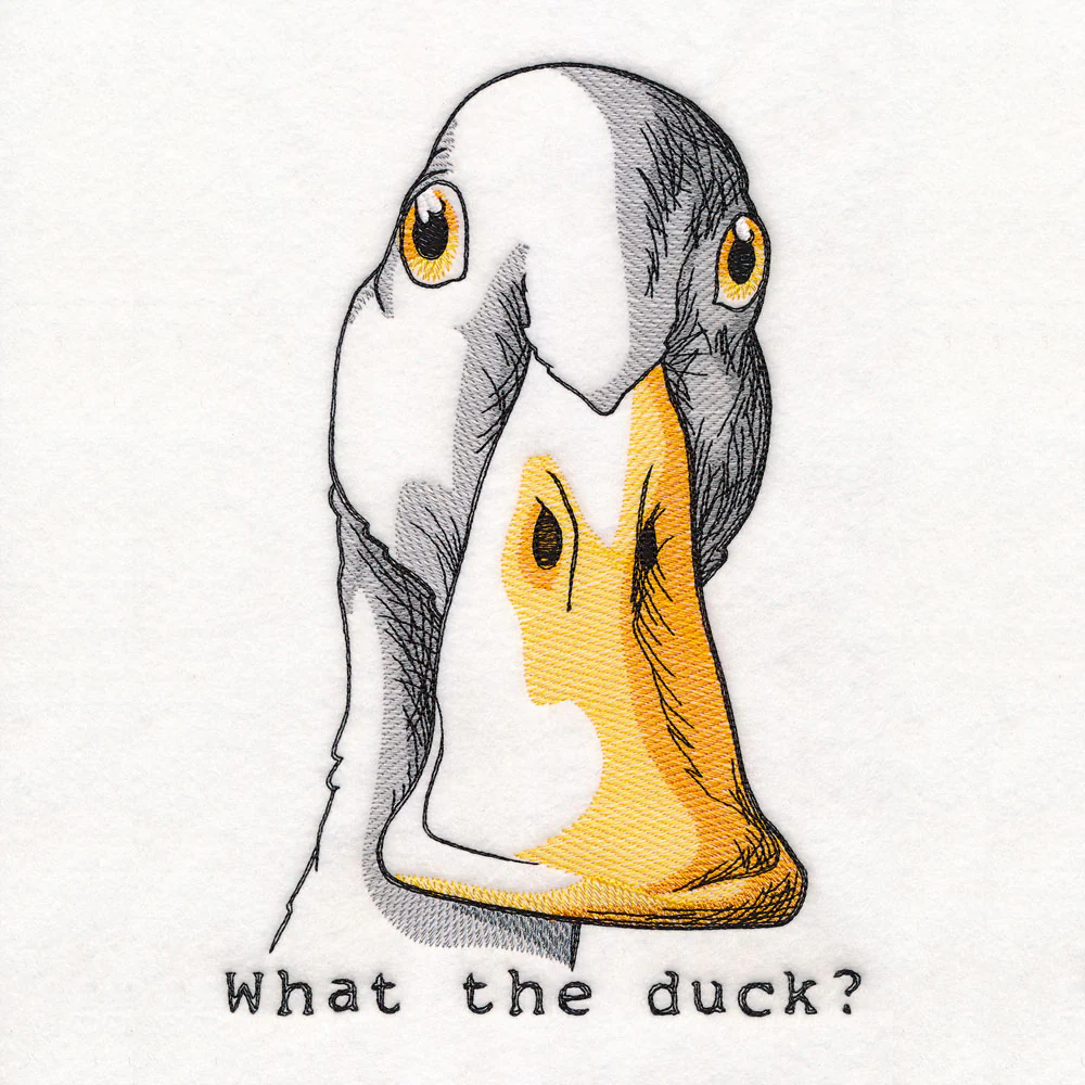 What the Duck - Image 2
