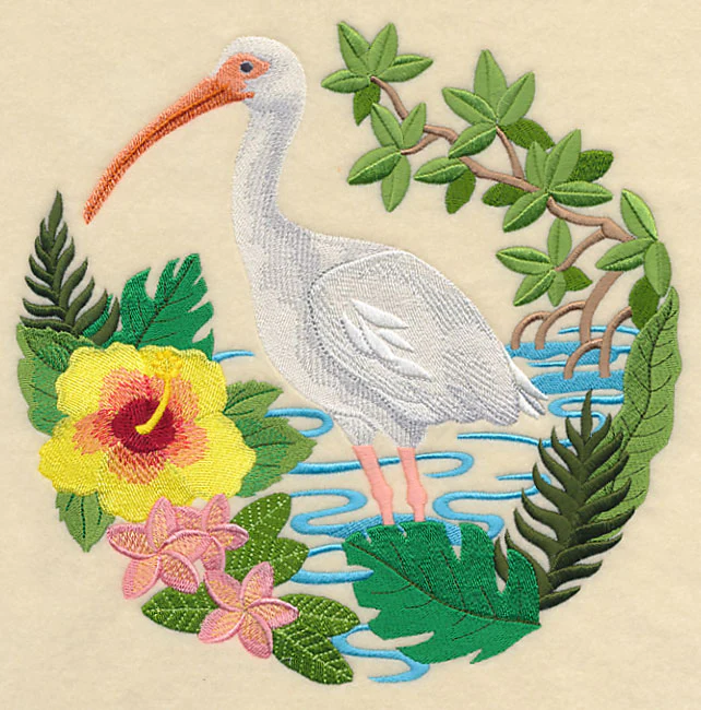 White Ibis Scene - Image 6