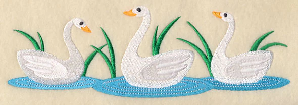 White Swan Border - Image 2