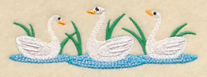 White Swan Border - Image 4