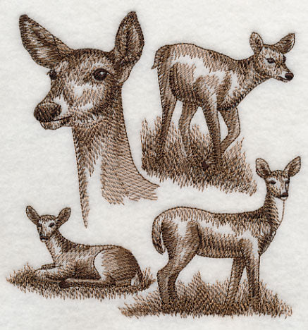 White-tailed Deer Sketch - Image 3