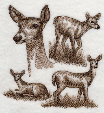 White-tailed Deer Sketch - Image 4