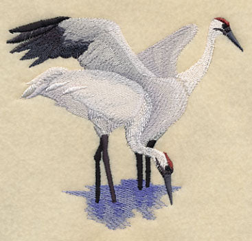 Whooping Cranes in the Marsh - Image 3