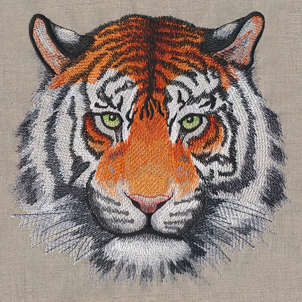 Wild Beauty Tiger