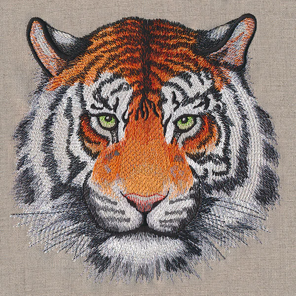 Wild Beauty Tiger - Image 3