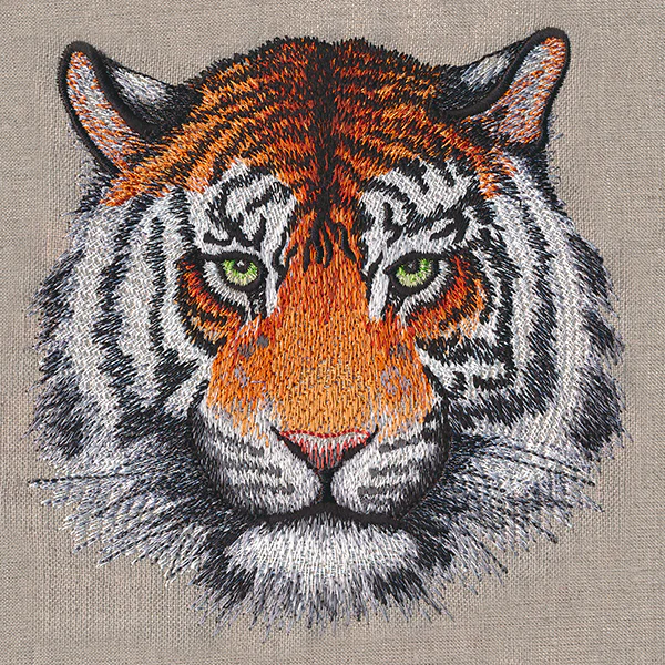Wild Beauty Tiger - Image 7