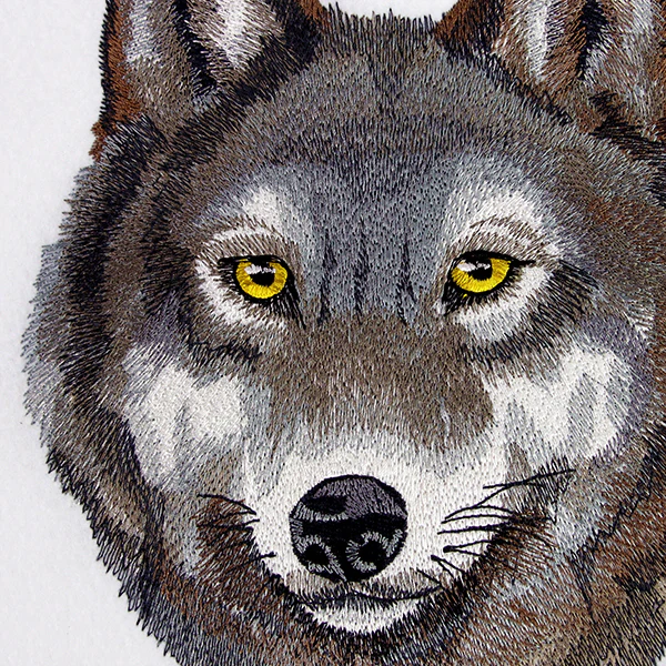 Wild Beauty Wolf - Image 2