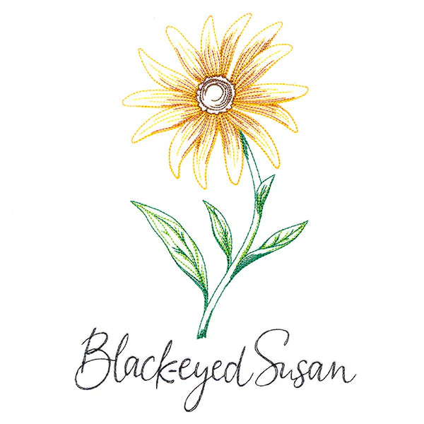 Wild Blooms - Black-Eyed Susan - Image 2