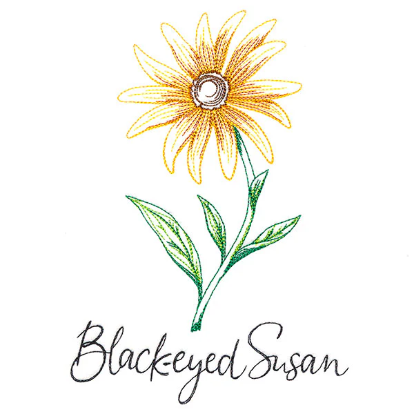Wild Blooms - Black-Eyed Susan - Image 4