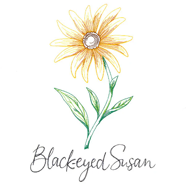 Wild Blooms - Black-Eyed Susan - Image 5