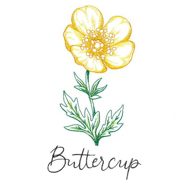 Wild Blooms - Buttercup - Image 4