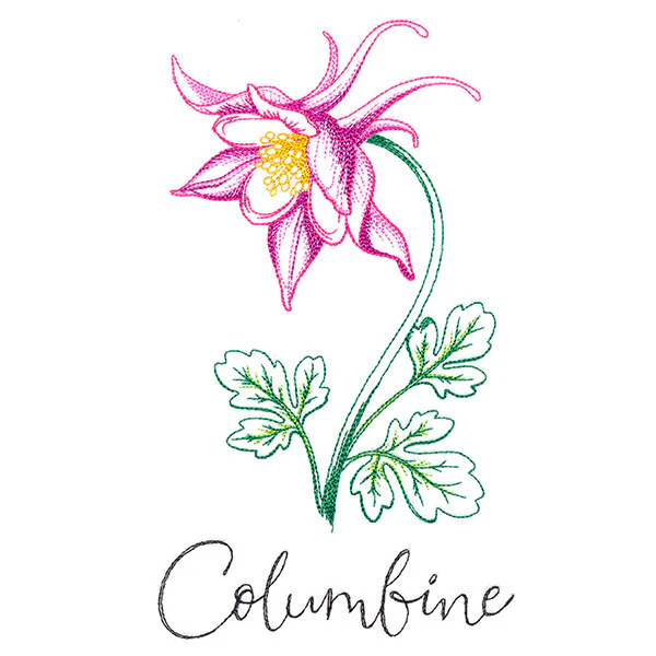 Wild Blooms - Columbine - Image 2