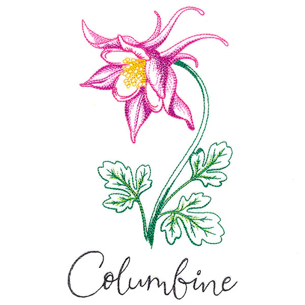 Wild Blooms - Columbine - Image 4