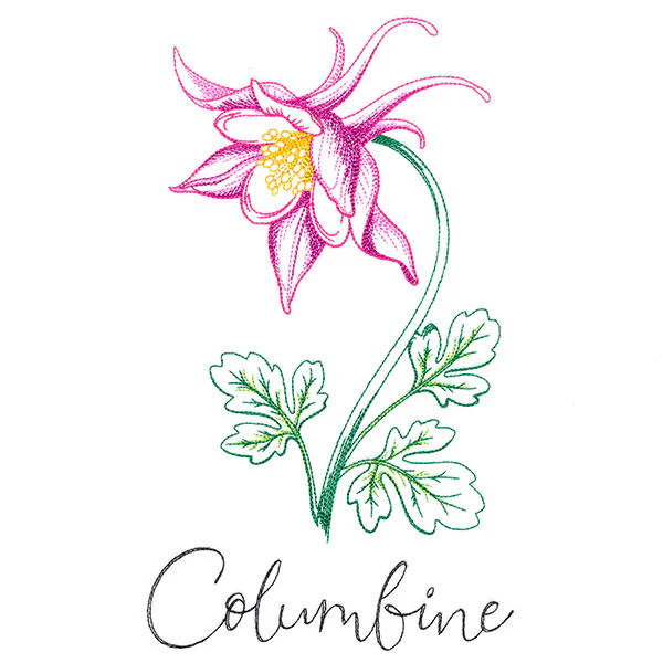 Wild Blooms - Columbine - Image 5