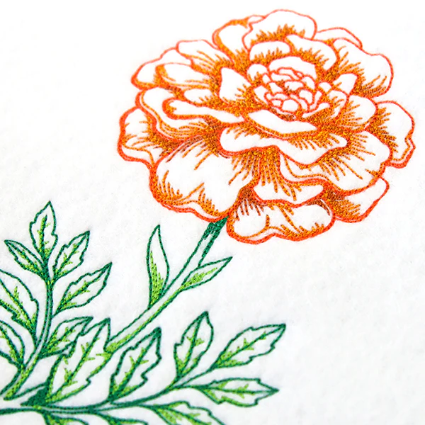 Wild Blooms - Marigold - Image 2