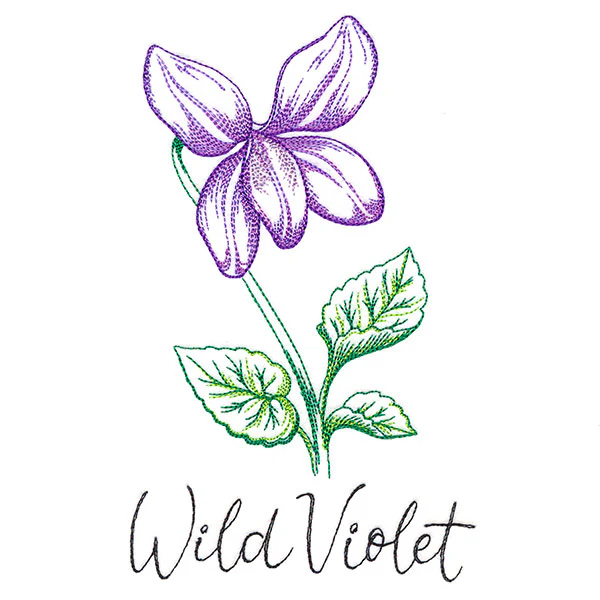 Wild Blooms - Wild Violet - Image 4